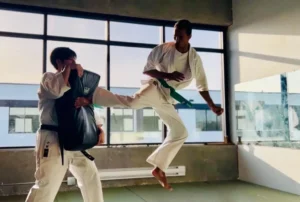 Jumping ushiro mawashi geri