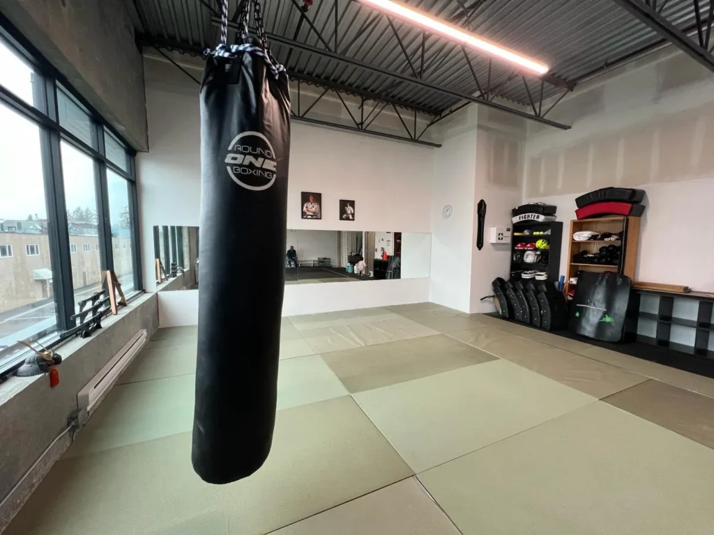 Heavy Punching bag